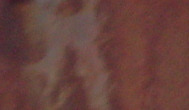 Brun