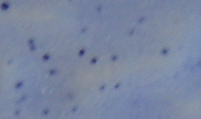 Bleu ciel
