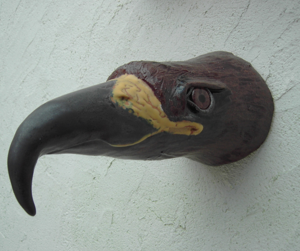 Aigle