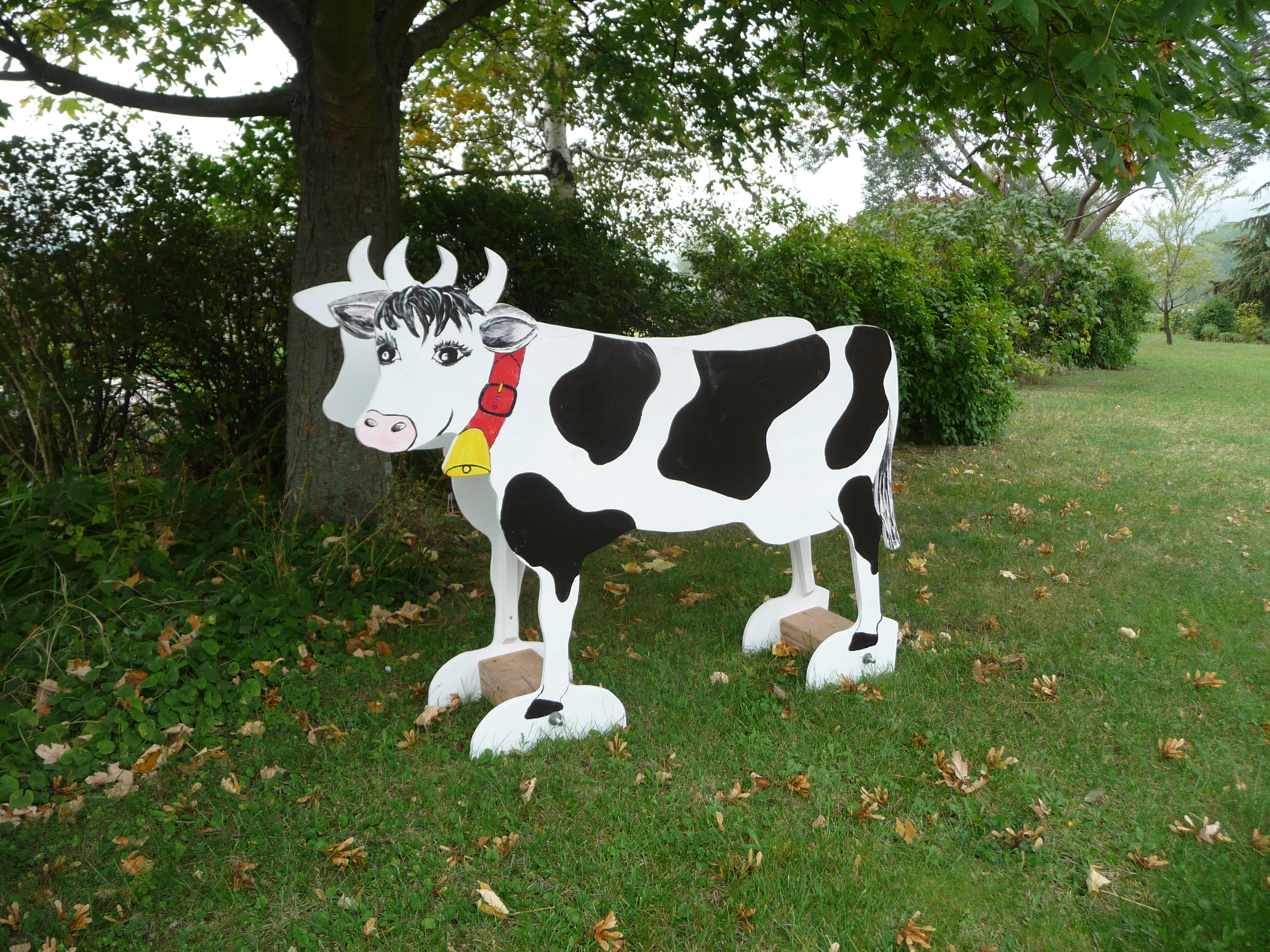 Vache 2010 3 