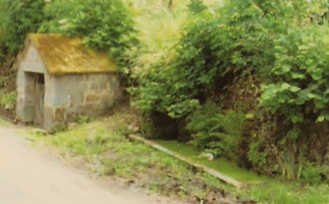 Image 3 