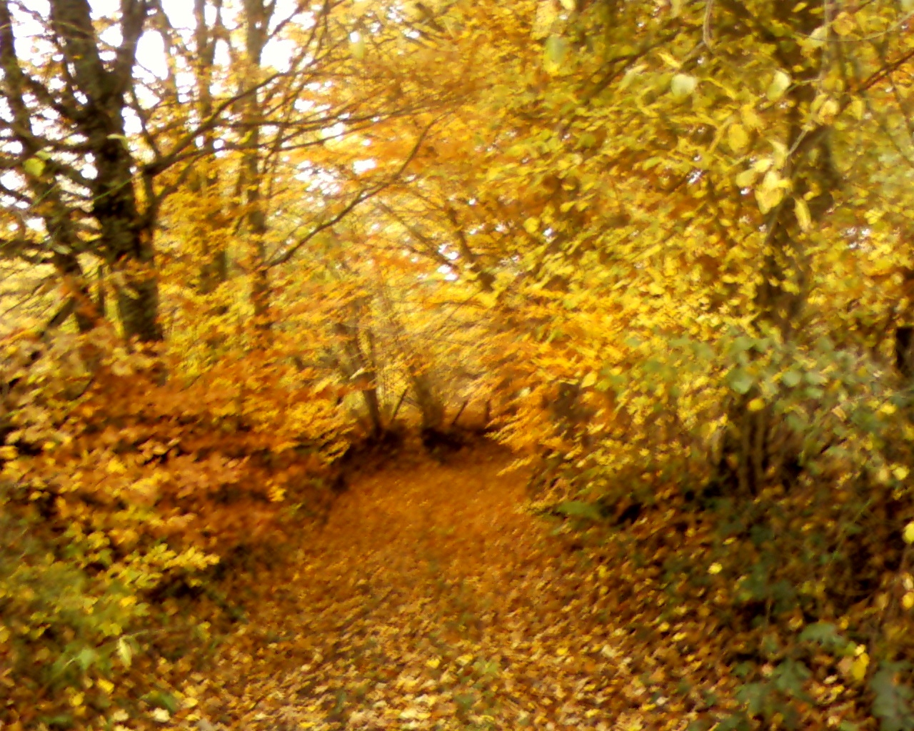 Photo0146