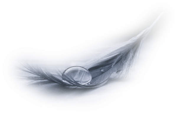 Plume3