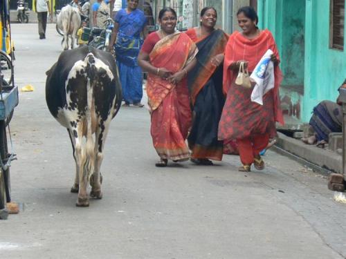 Imagetransform 9 ashx