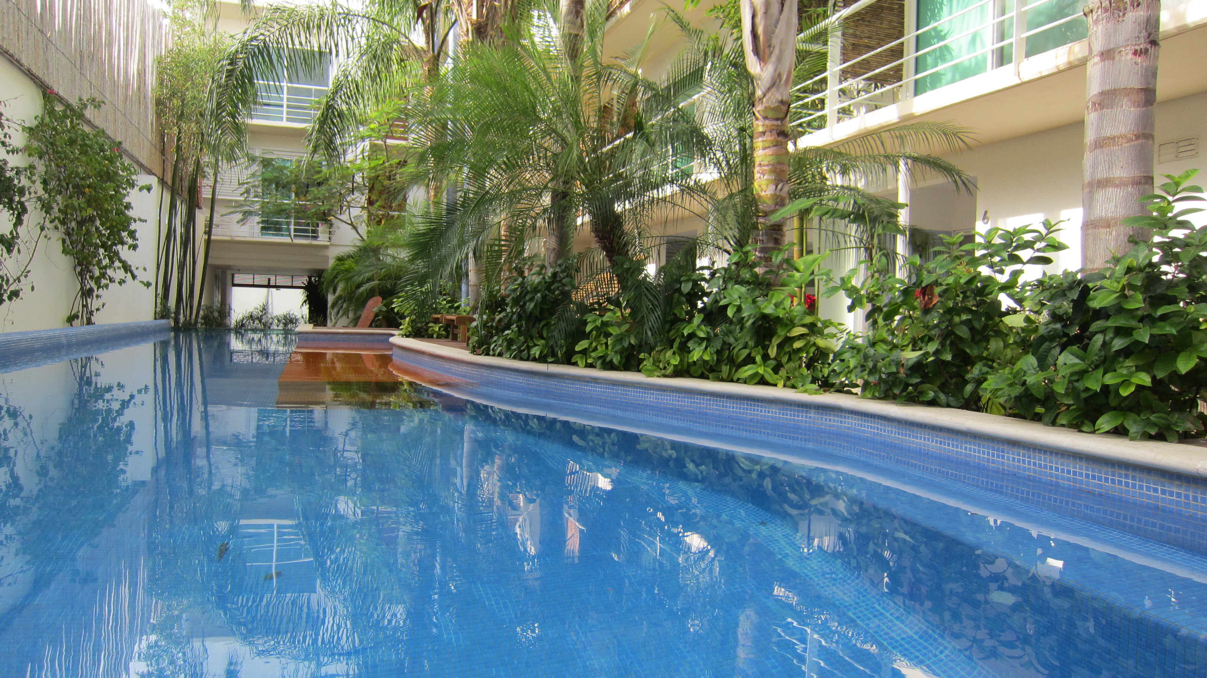 Piscine