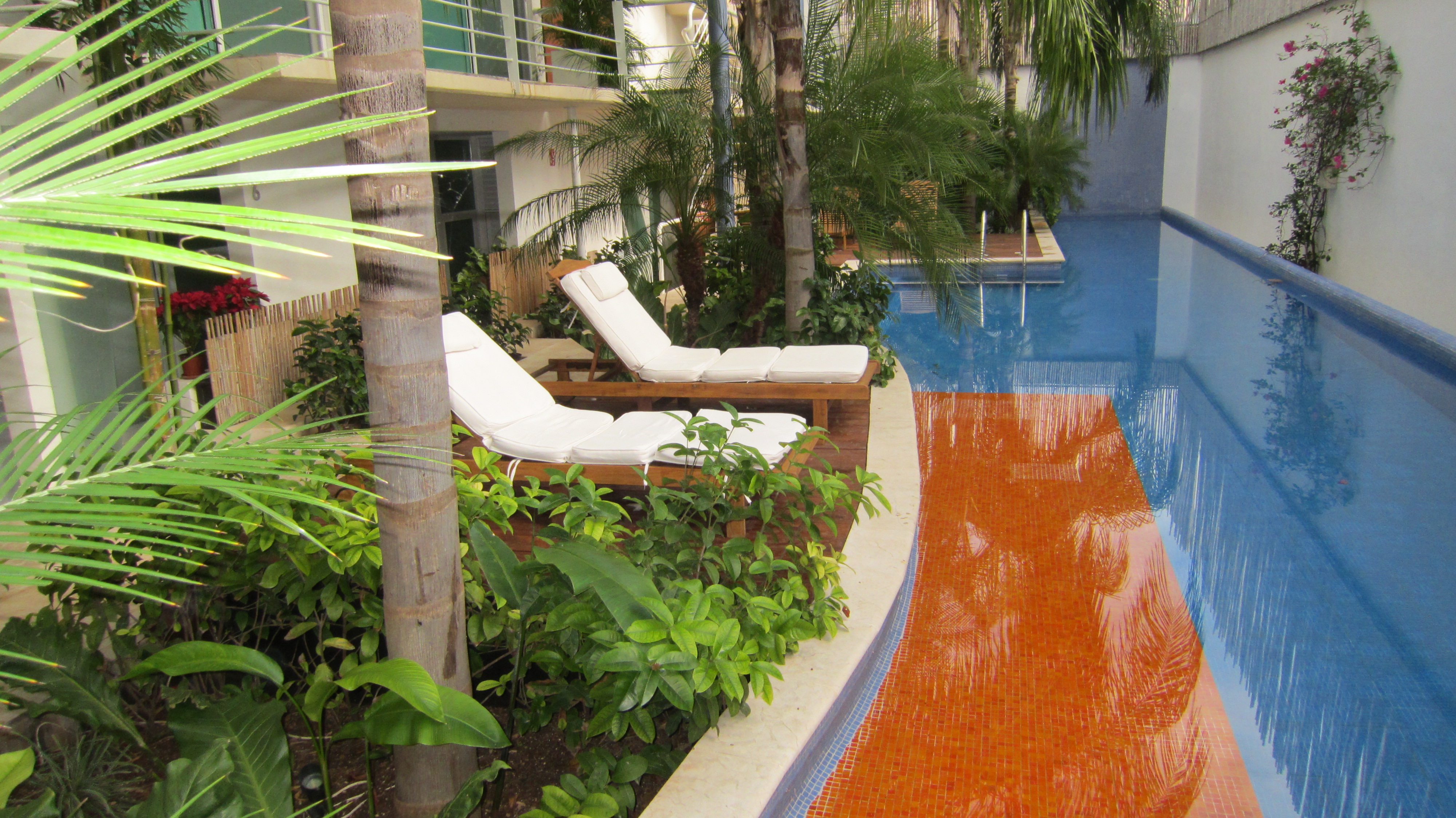 Playa del carmen decembre 2011 173