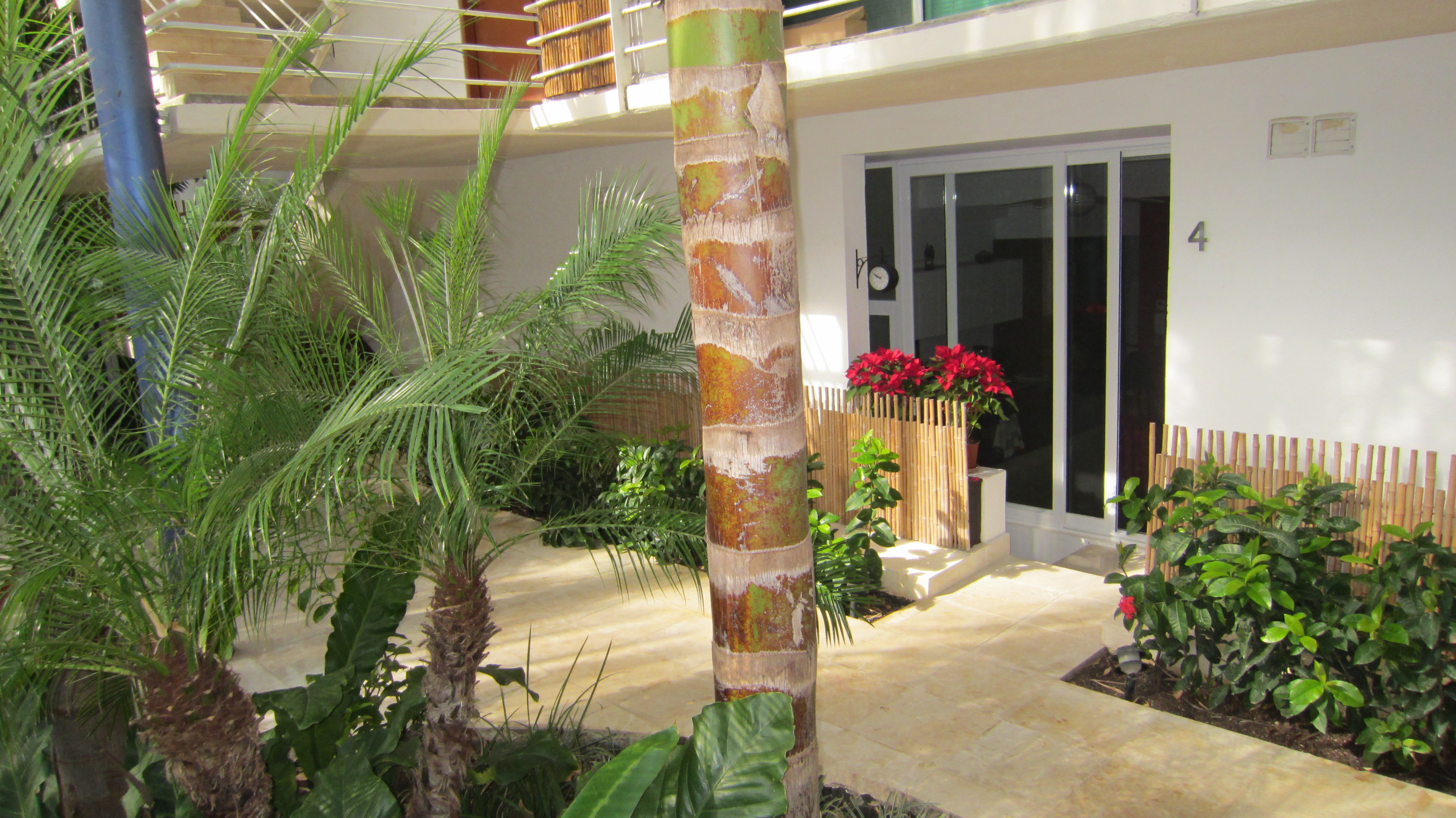 Playa del carmen decembre 2011 178
