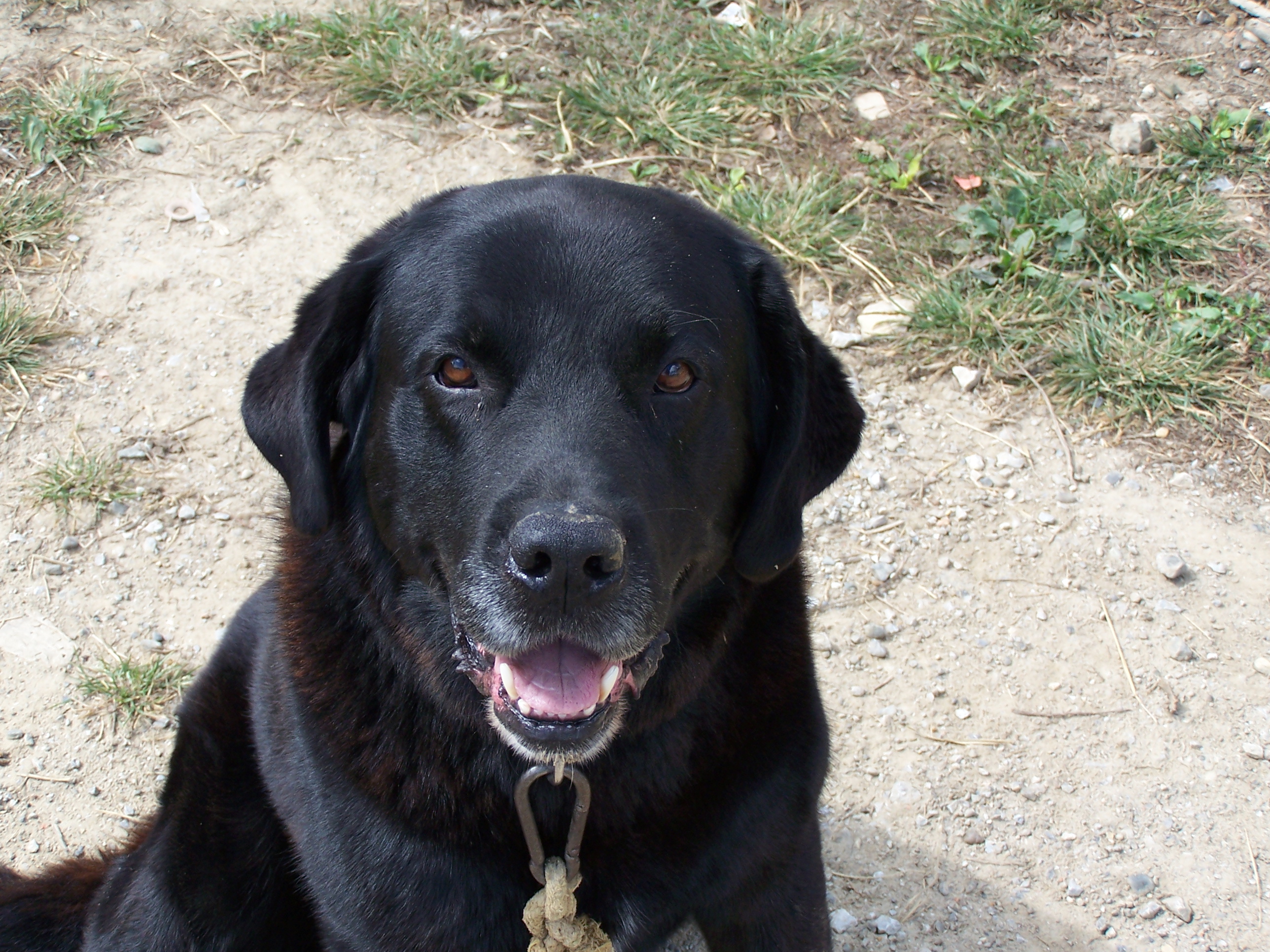 Voiture christian a verifier photos cantin 031