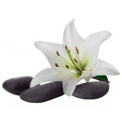 Sup stickers fleur galet 344 368