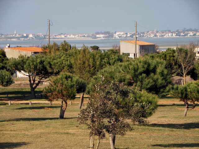 Port des barques3