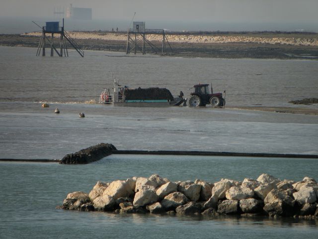 Port des barques4