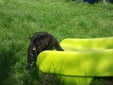 Photo0231