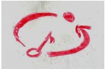Logo pirem
