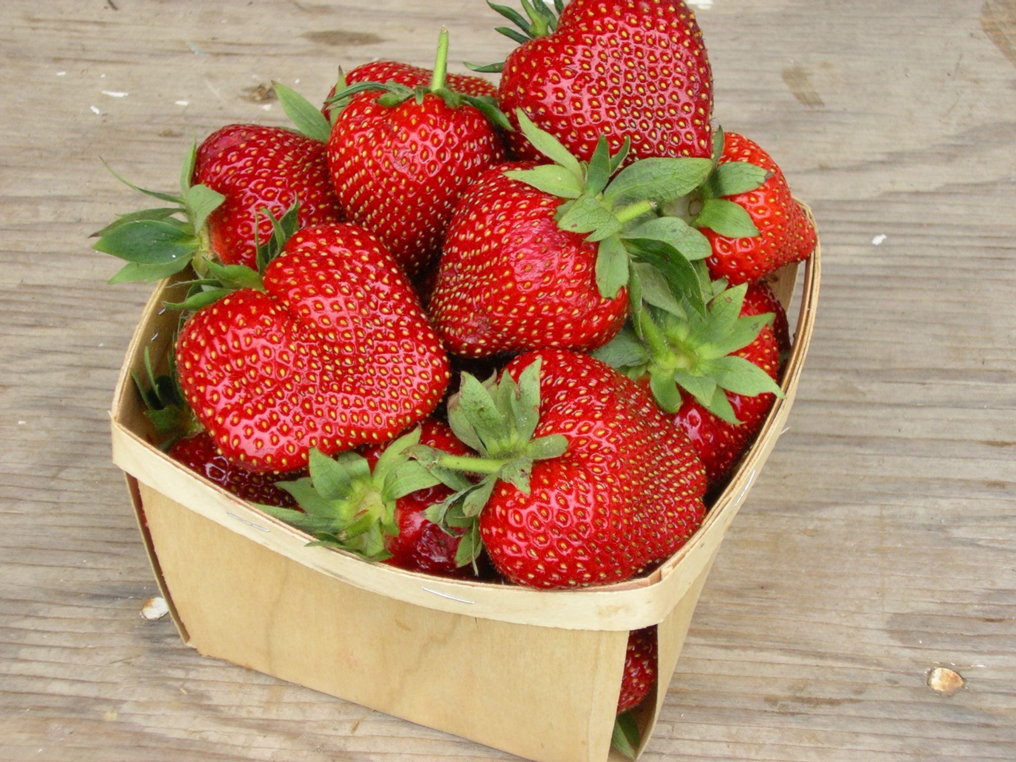 Fraises 7 