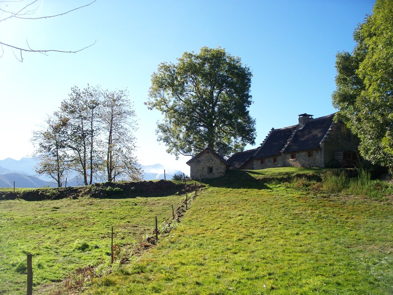 Sitegite3