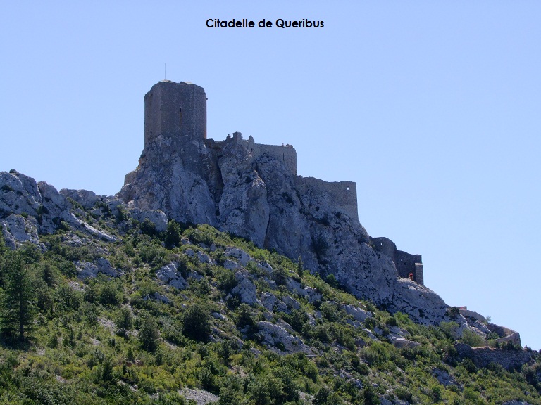 Site54