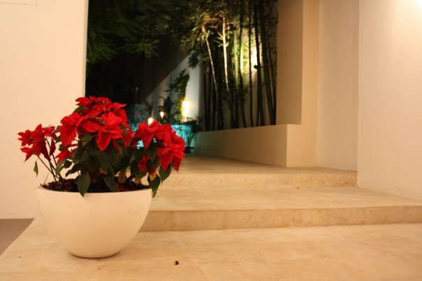 Lobby n 1 