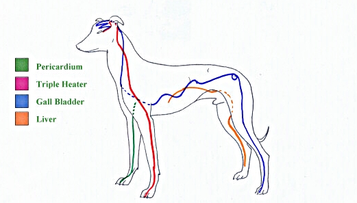 Chien3