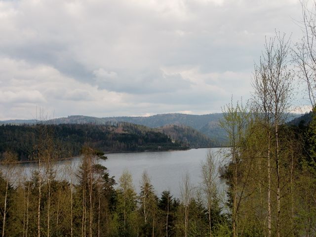 Pierperce6