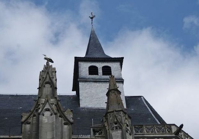 St nicolas11