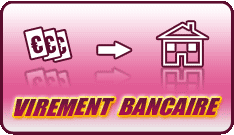 Virement bancaire