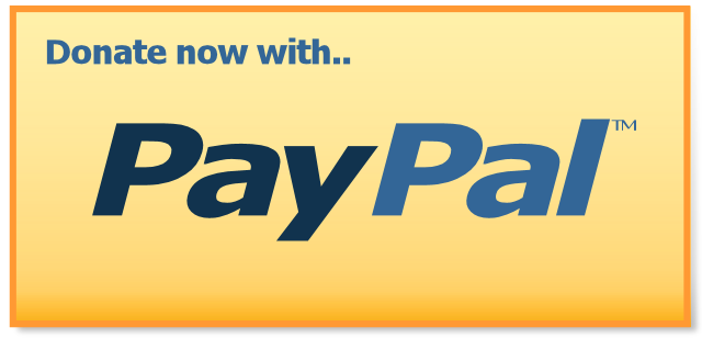 Paypal button1