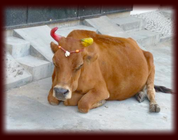 Capture d ecran 2012 05 06 a 10 33 29