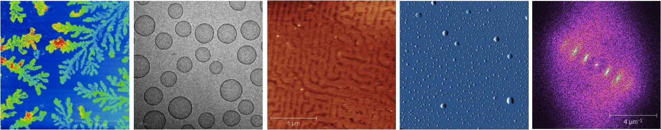 SoftMatter1