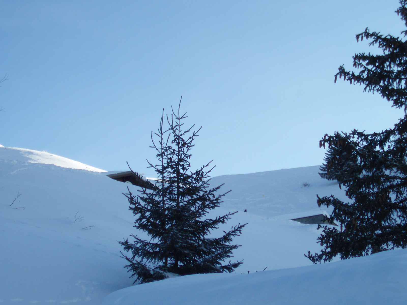 08janvier2012006