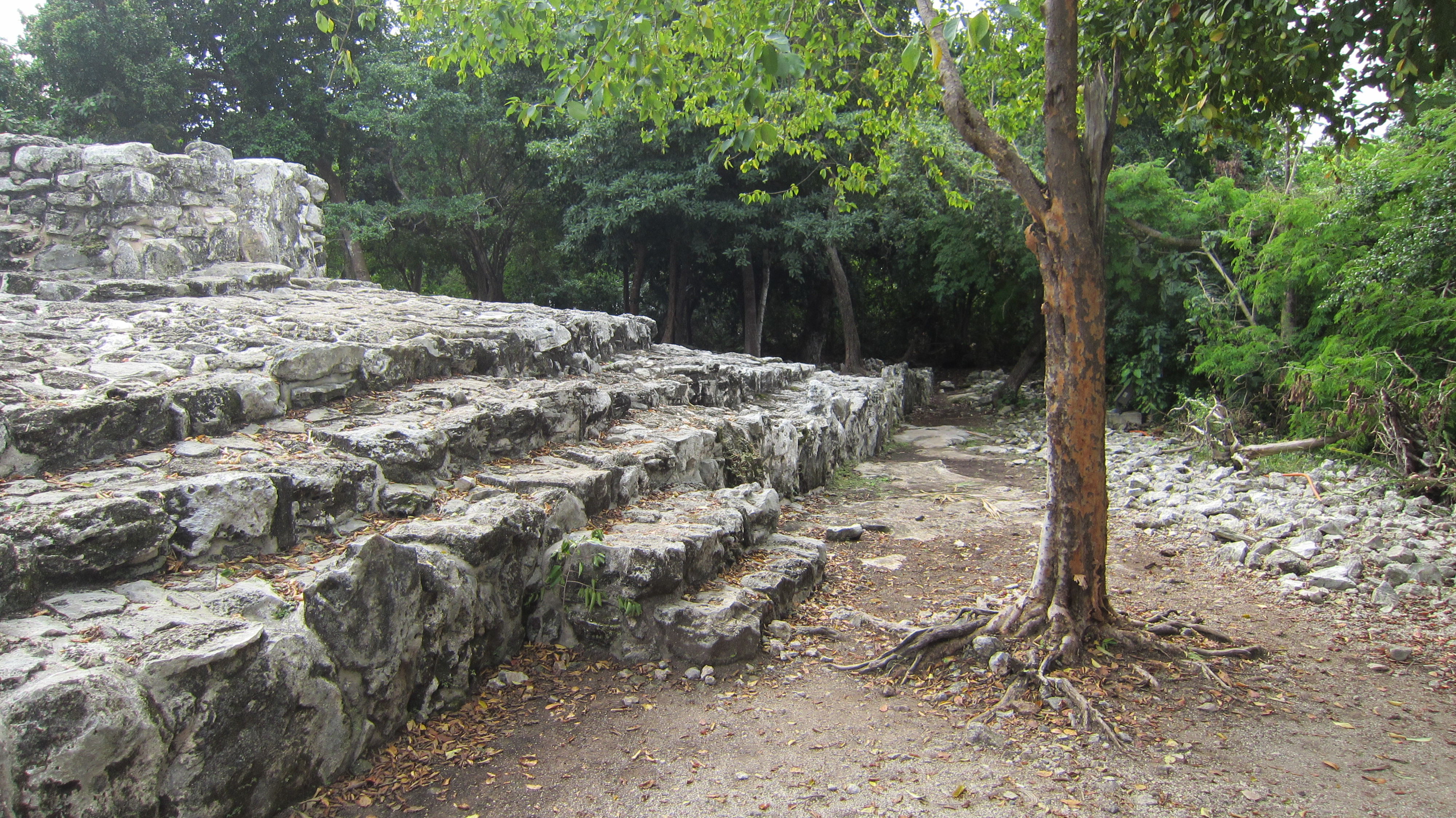 Playa del carmen decembre 2011 264