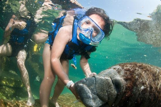 Xel ha
