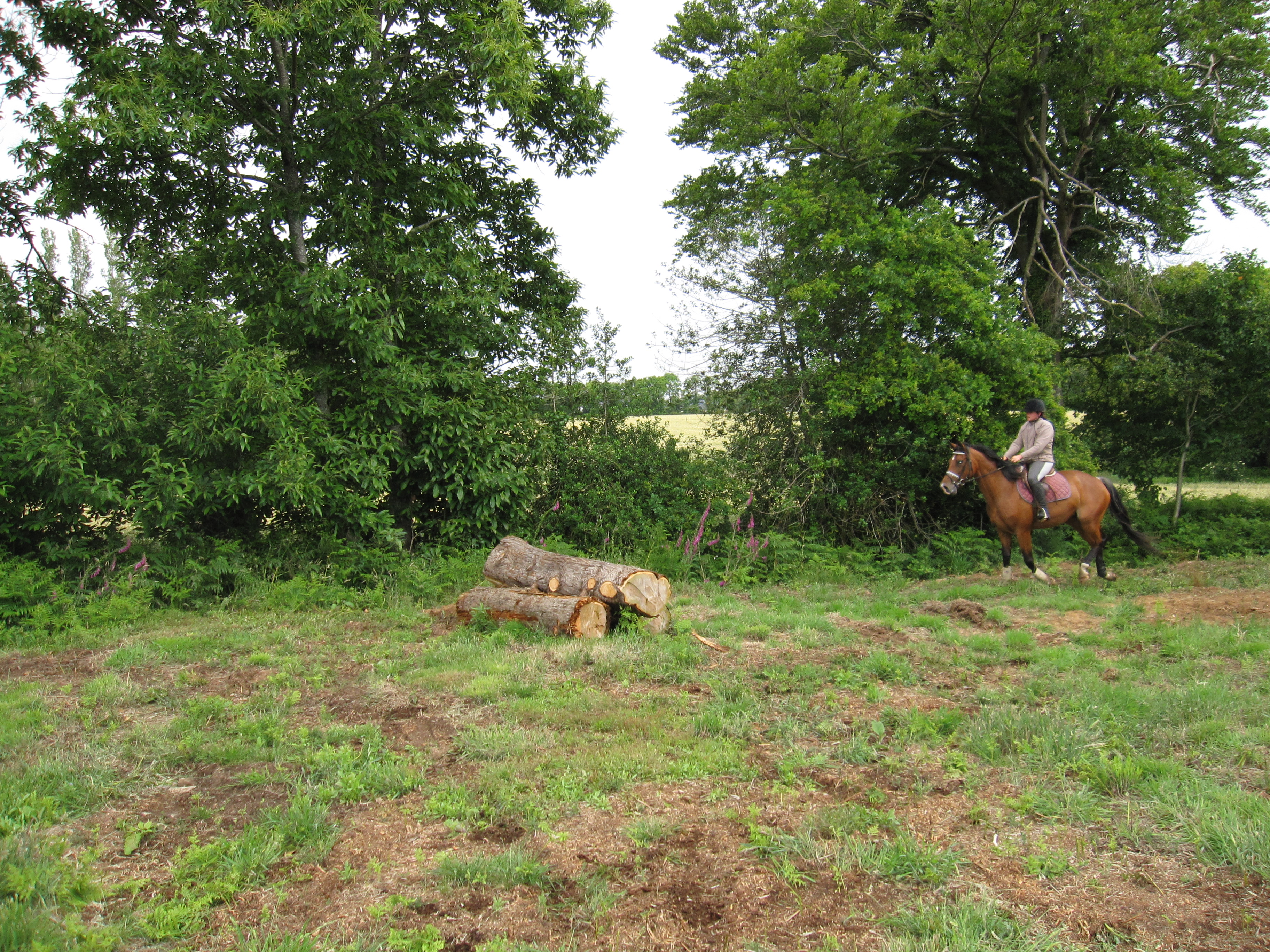 Juin 2012 068