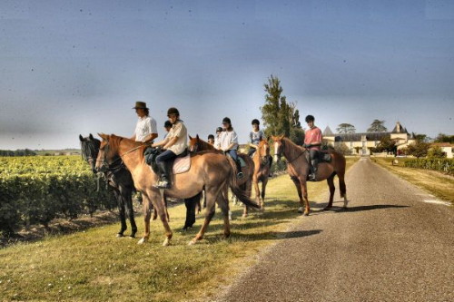 Cheval 1 600