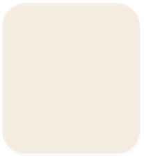 00 rectangle beige