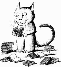 Chat livre