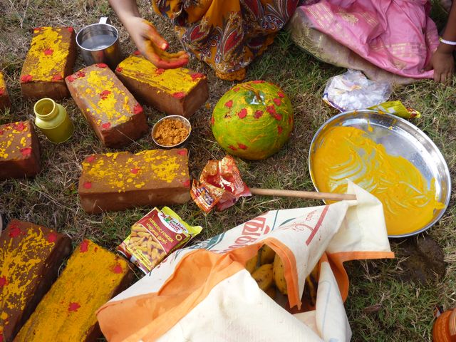 Curcuma sur les differents element