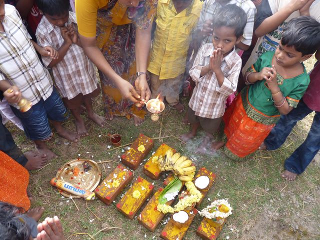 Le camphre pour purifier