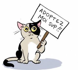 Adoptez moi