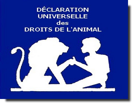 Droits animal2