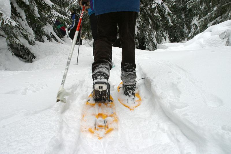 Raquette a neige
