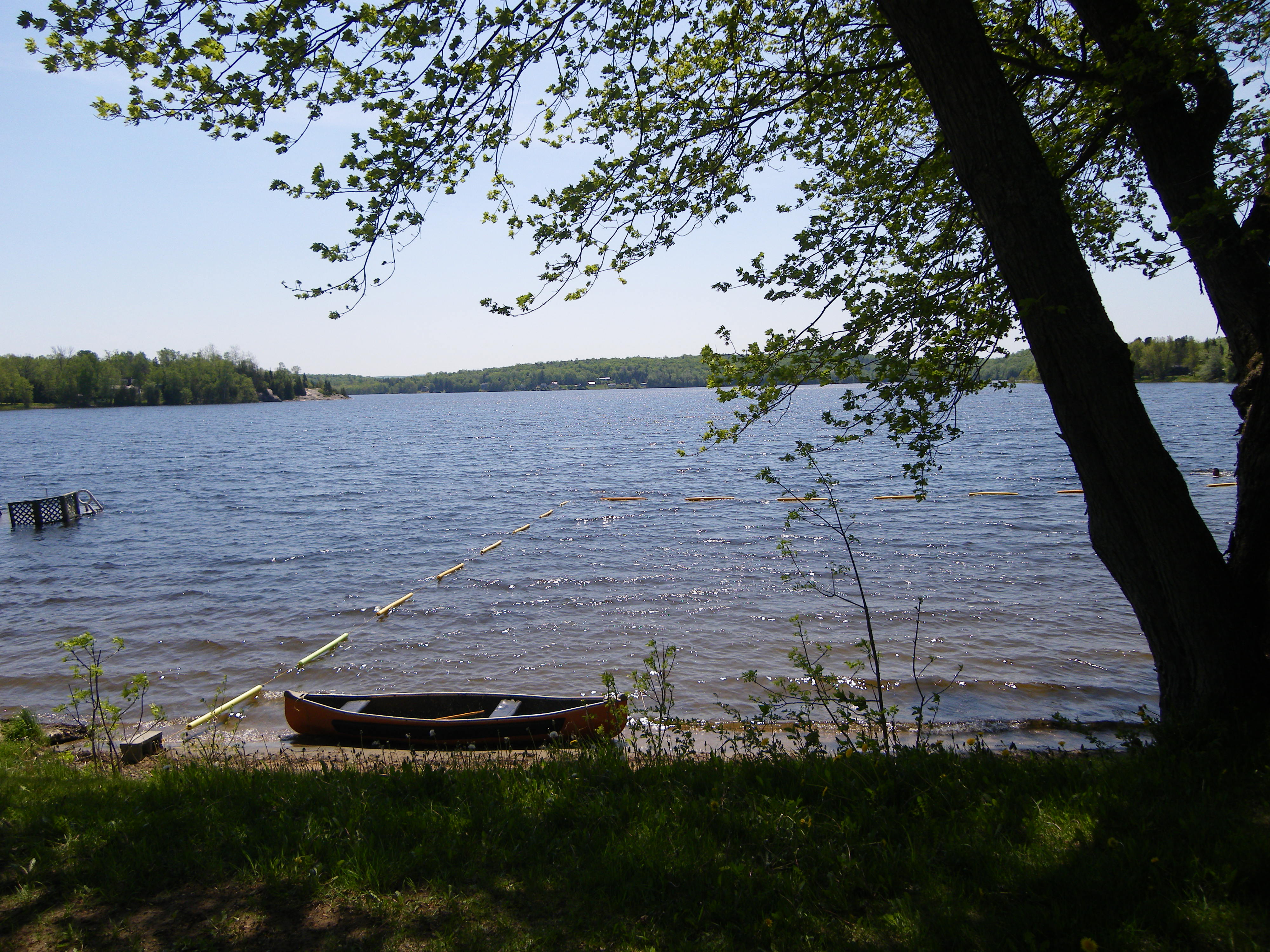 Imgp0413