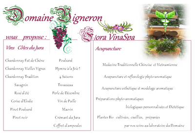 Verso carte domaine vigneron flora vinaspa