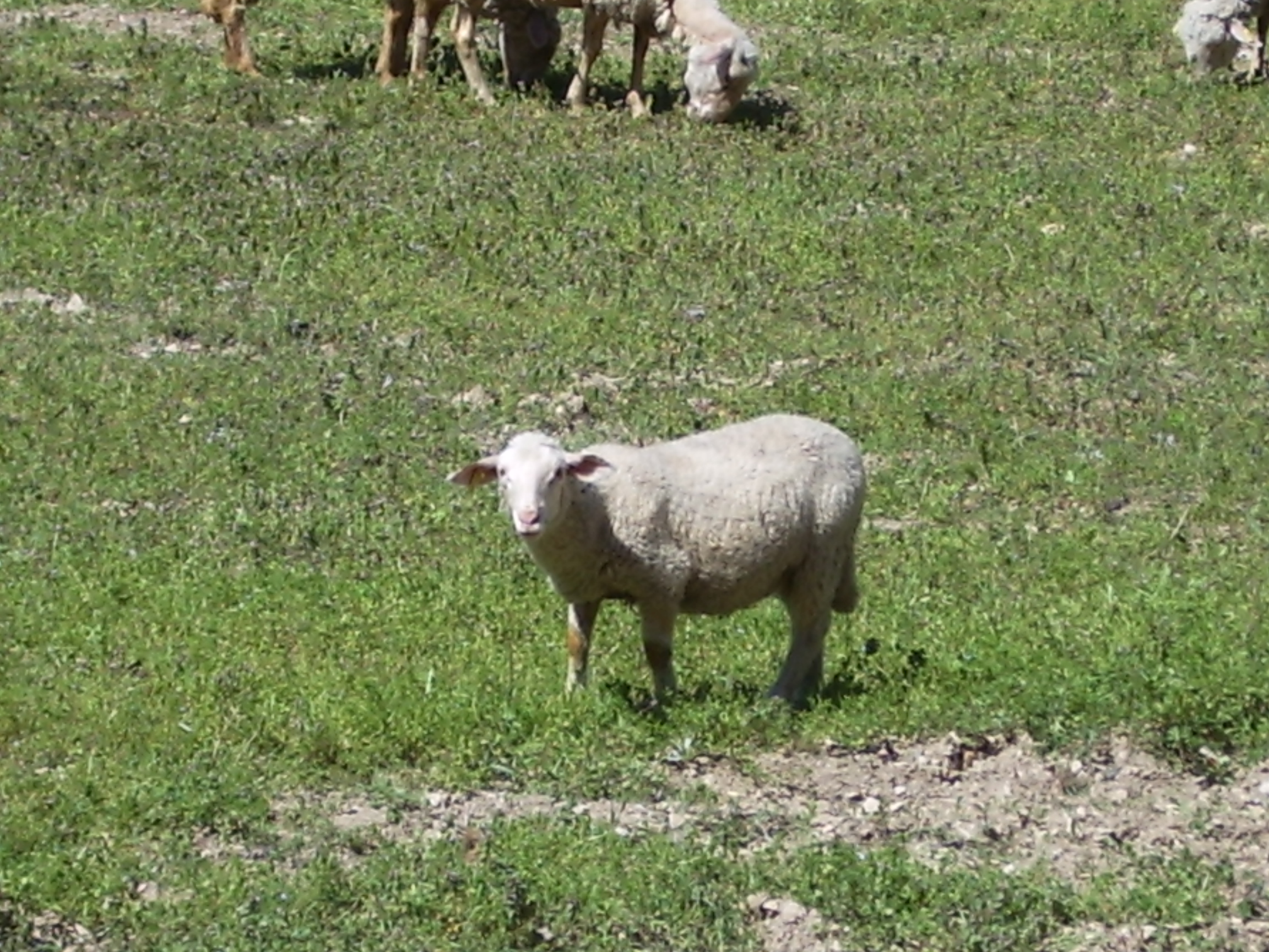 Imgp2904