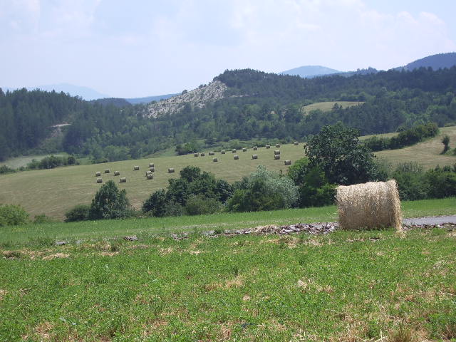 Imgp3324