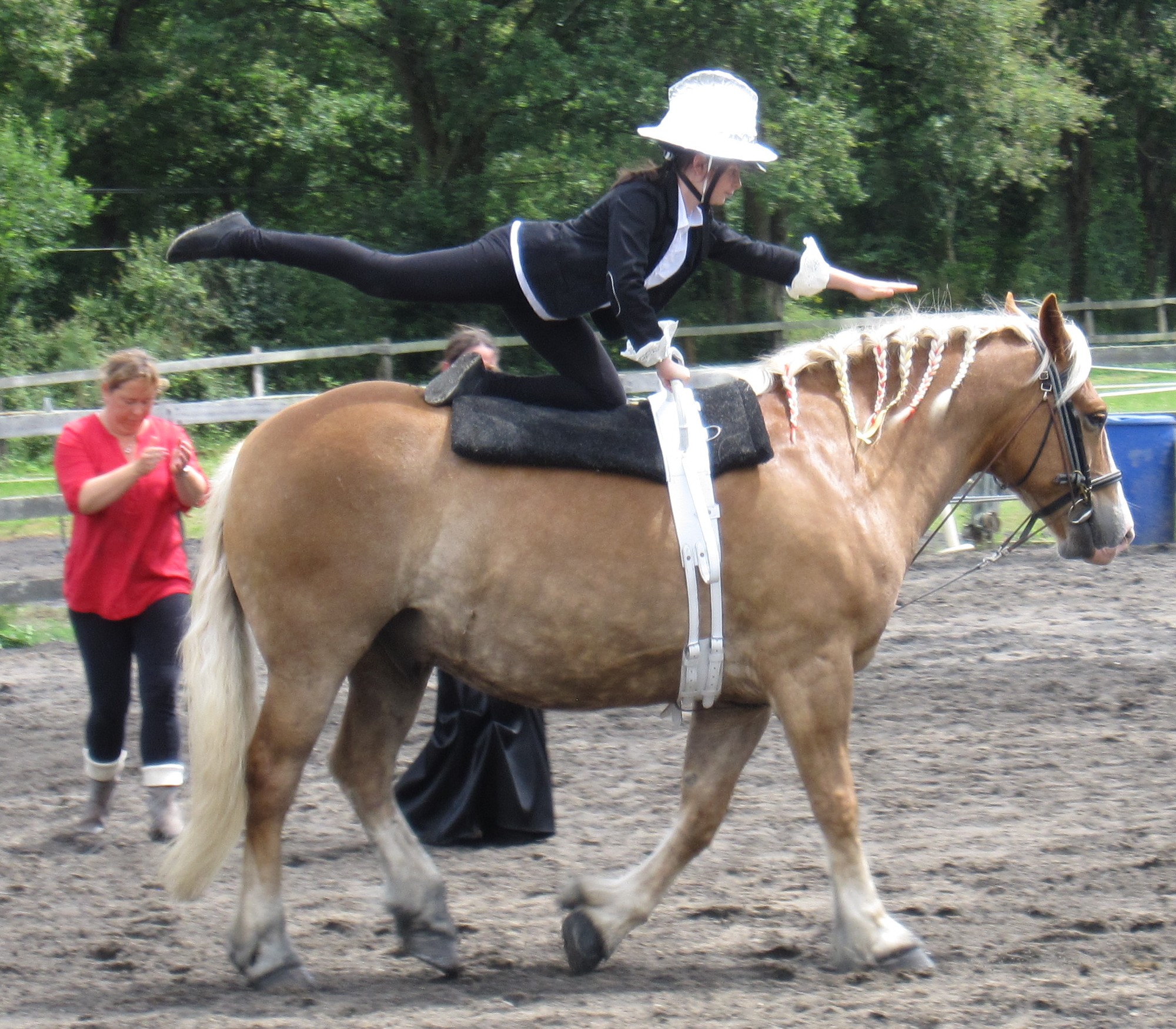 Voltige3