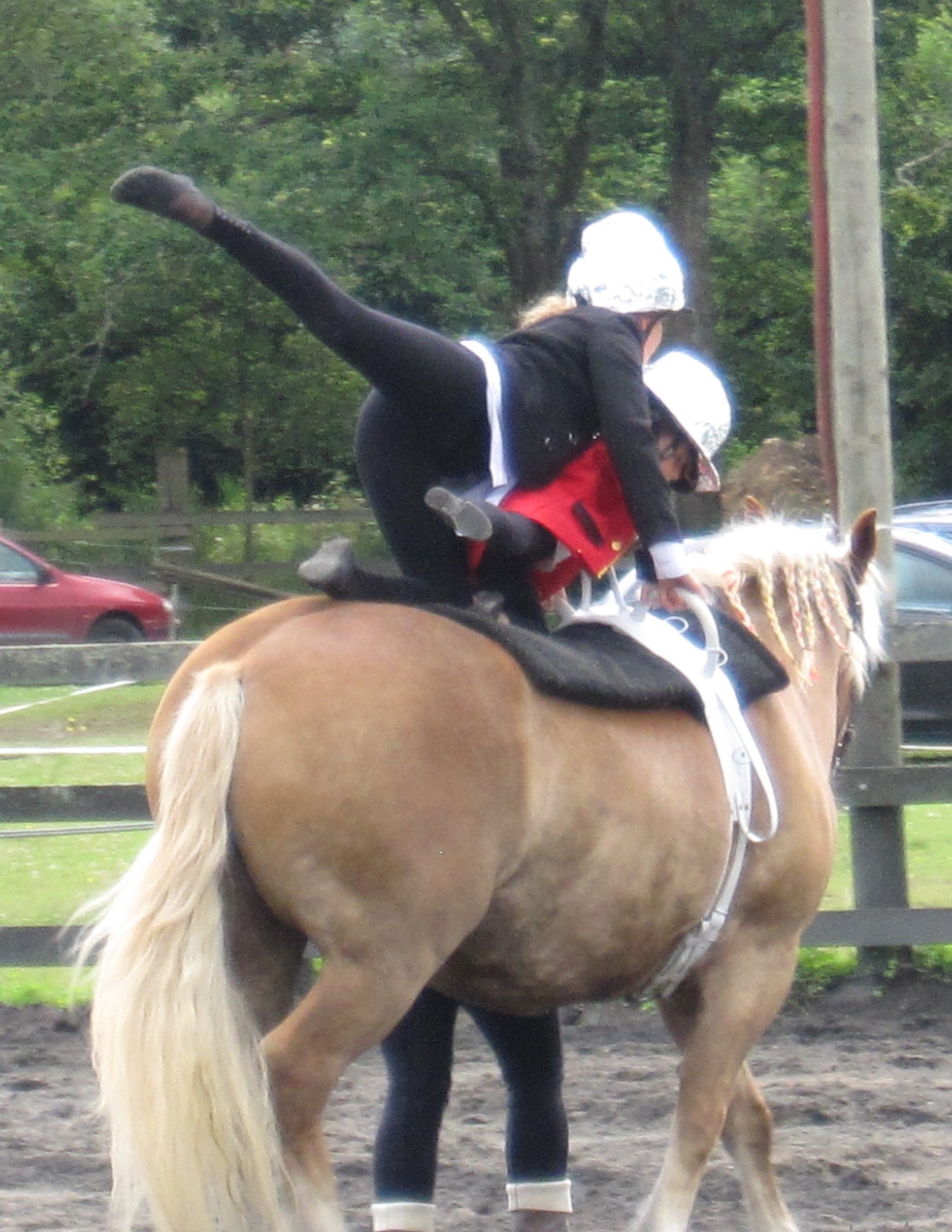 Voltige7