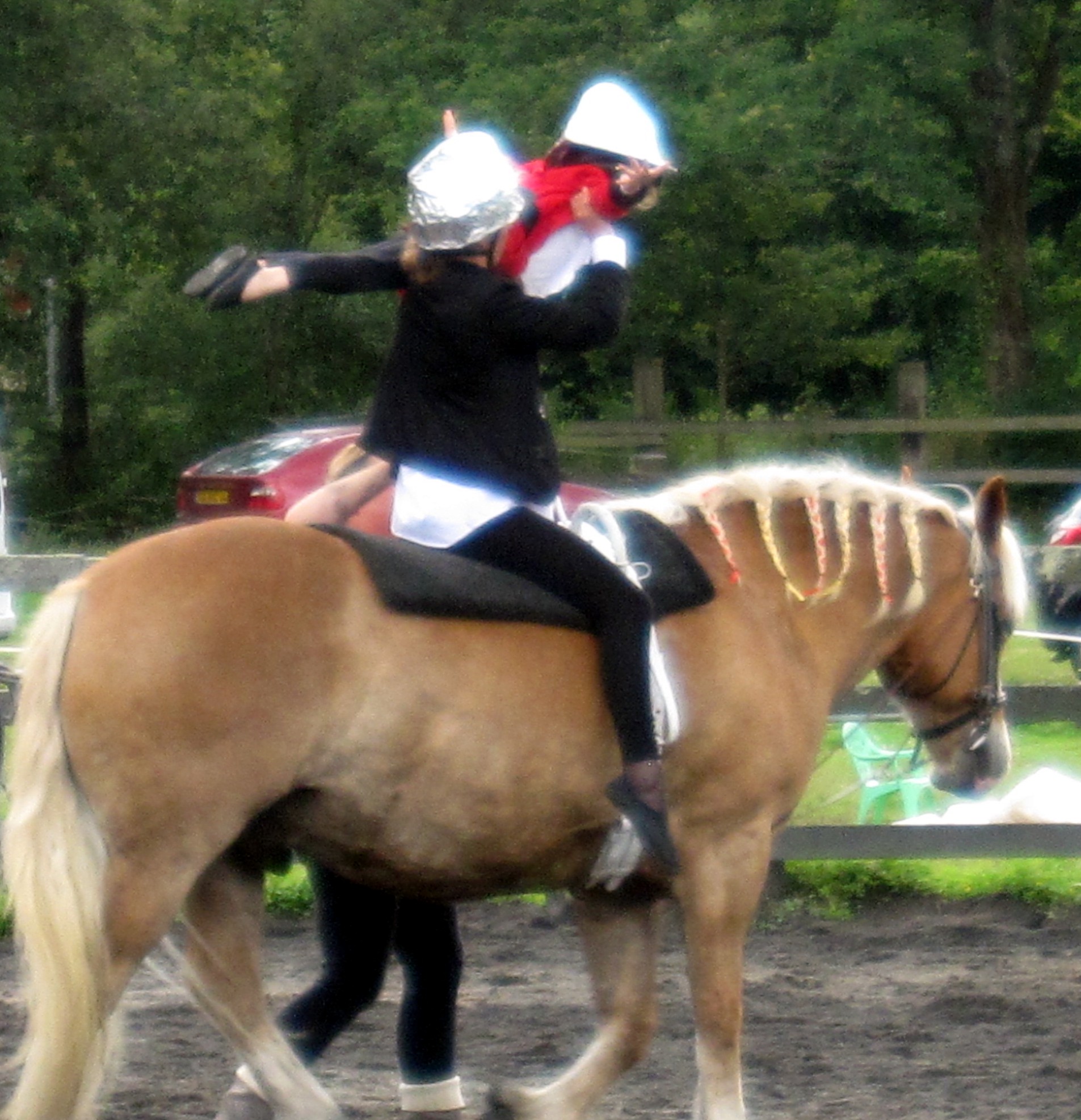 Voltige9
