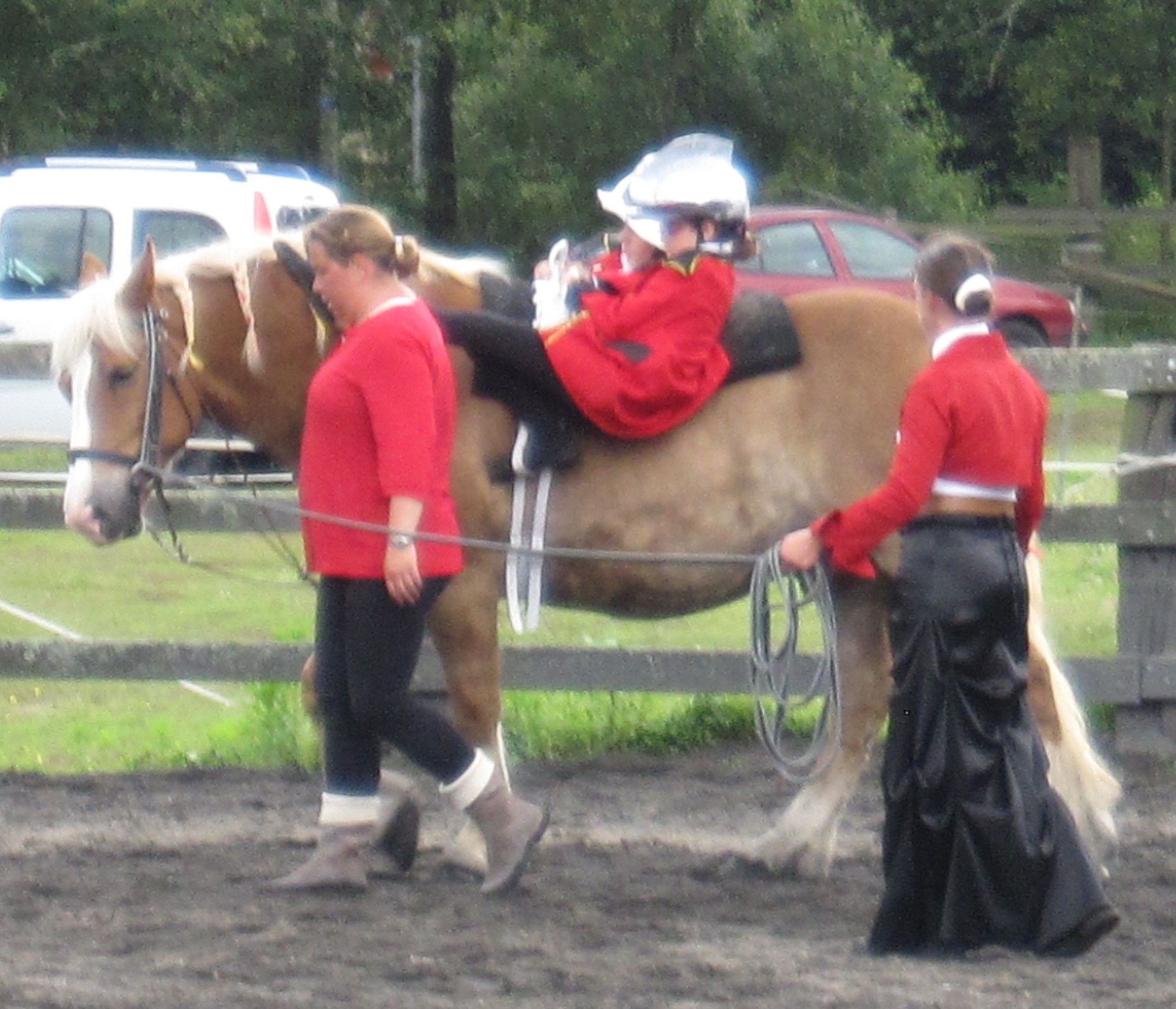 Voltige10