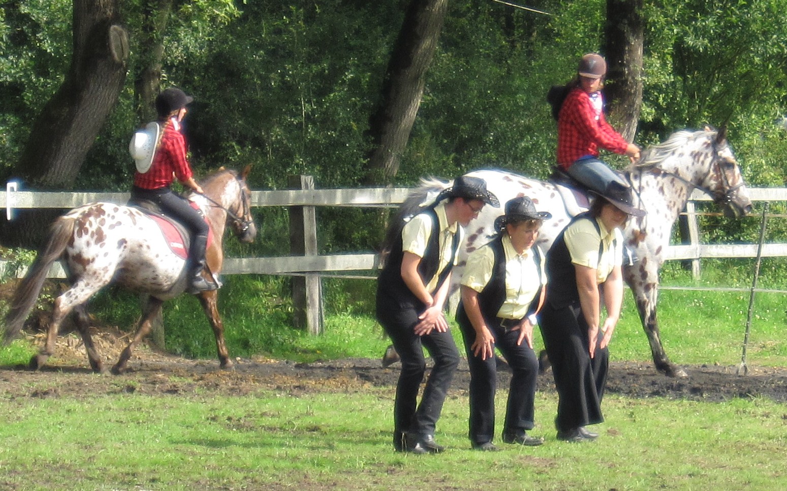Country8