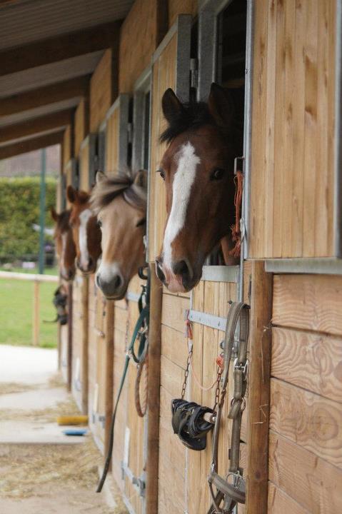 581166 3267416258209 27638221 n